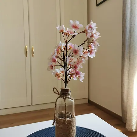 Apartment Oasis